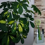 Apartment Blazevic