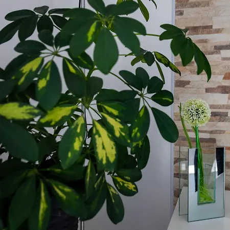 Appartement Blazevic