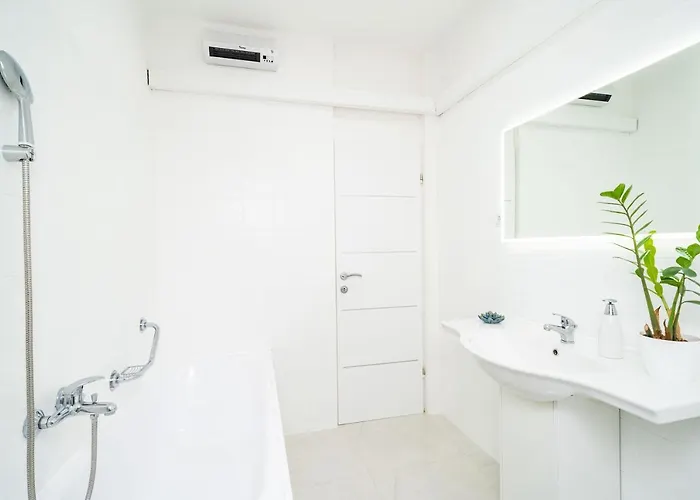 Blazevic * 米利尼